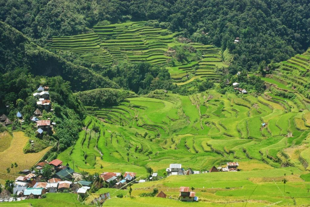 Batad Transient House Ξενοδοχείο Banaue Εξωτερικό φωτογραφία