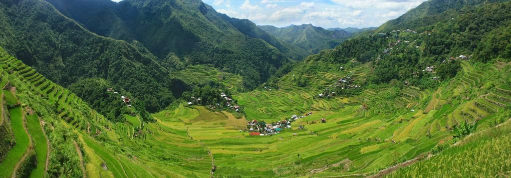 Batad Transient House Ξενοδοχείο Banaue Εξωτερικό φωτογραφία
