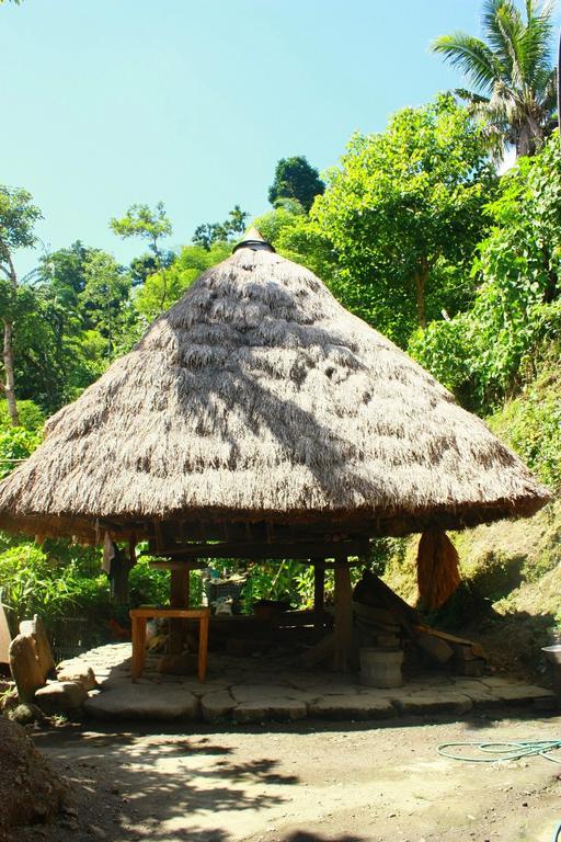 Batad Transient House Ξενοδοχείο Banaue Δωμάτιο φωτογραφία