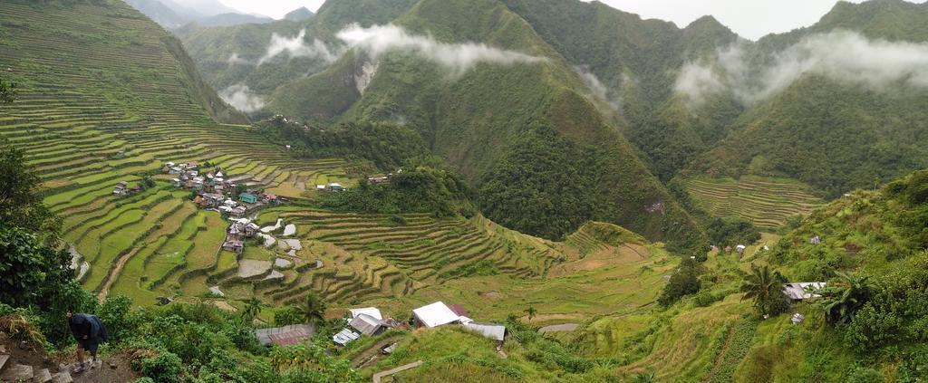 Batad Transient House Ξενοδοχείο Banaue Εξωτερικό φωτογραφία