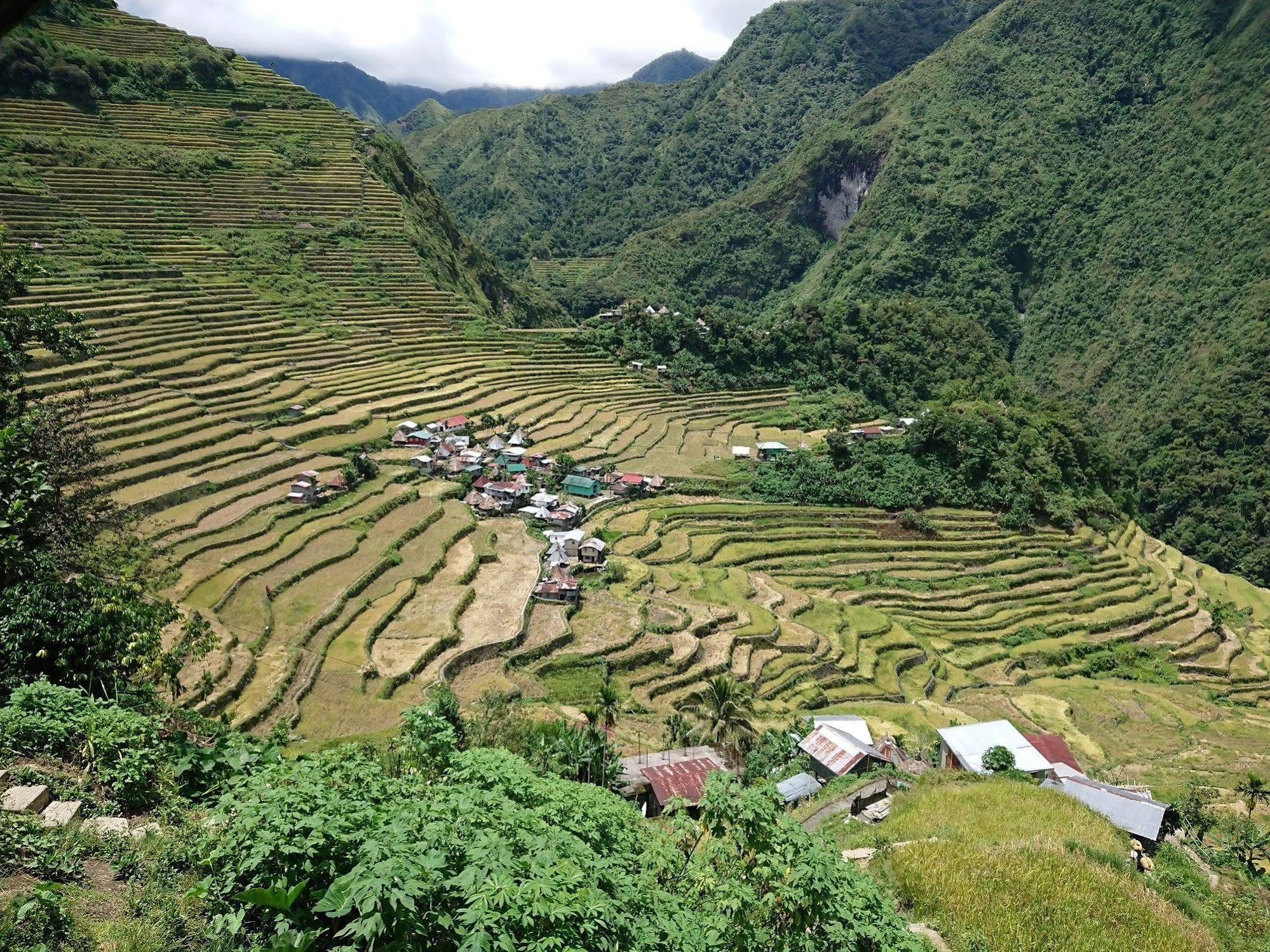 Batad Transient House Ξενοδοχείο Banaue Εξωτερικό φωτογραφία