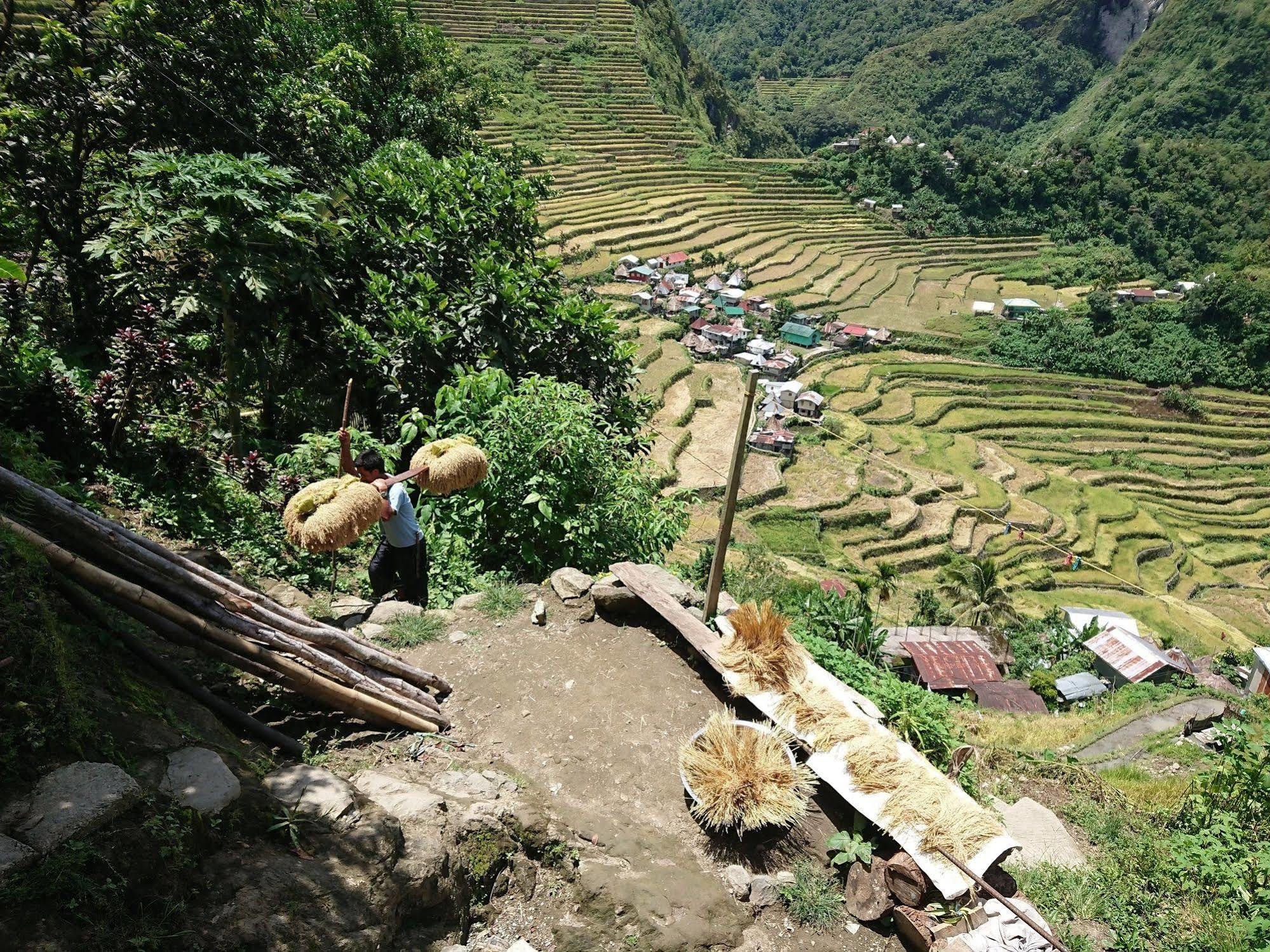 Batad Transient House Ξενοδοχείο Banaue Εξωτερικό φωτογραφία