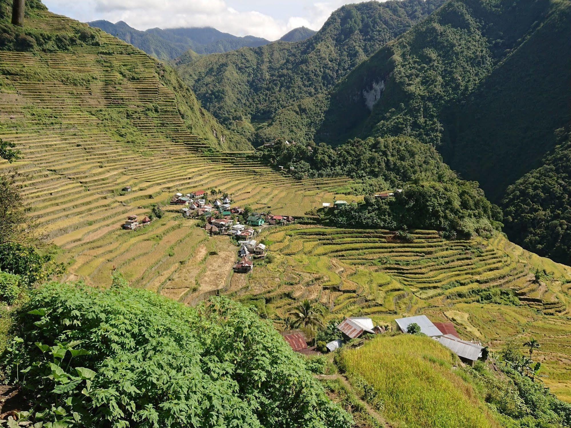 Batad Transient House Ξενοδοχείο Banaue Εξωτερικό φωτογραφία