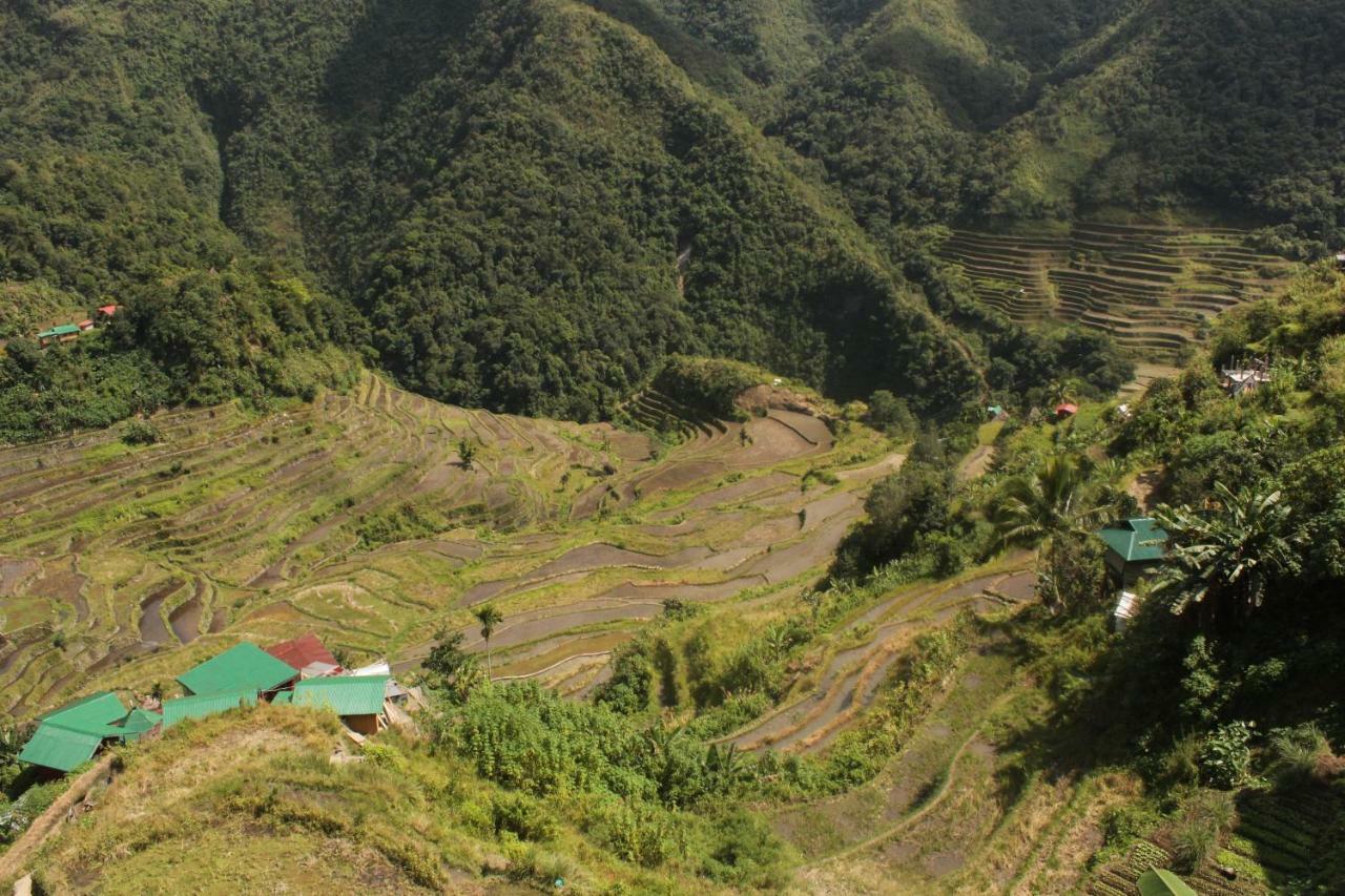 Batad Transient House Ξενοδοχείο Banaue Εξωτερικό φωτογραφία