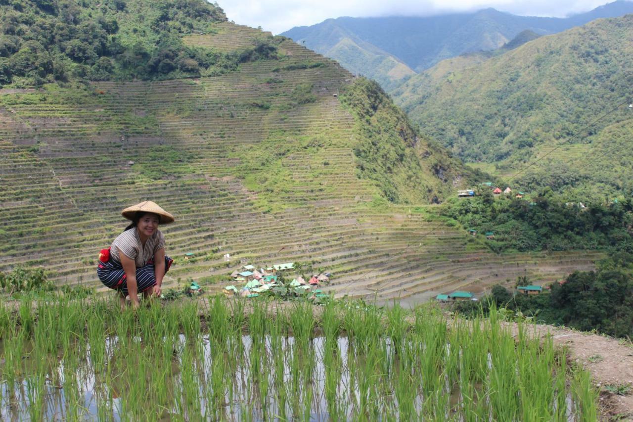 Batad Transient House Ξενοδοχείο Banaue Εξωτερικό φωτογραφία