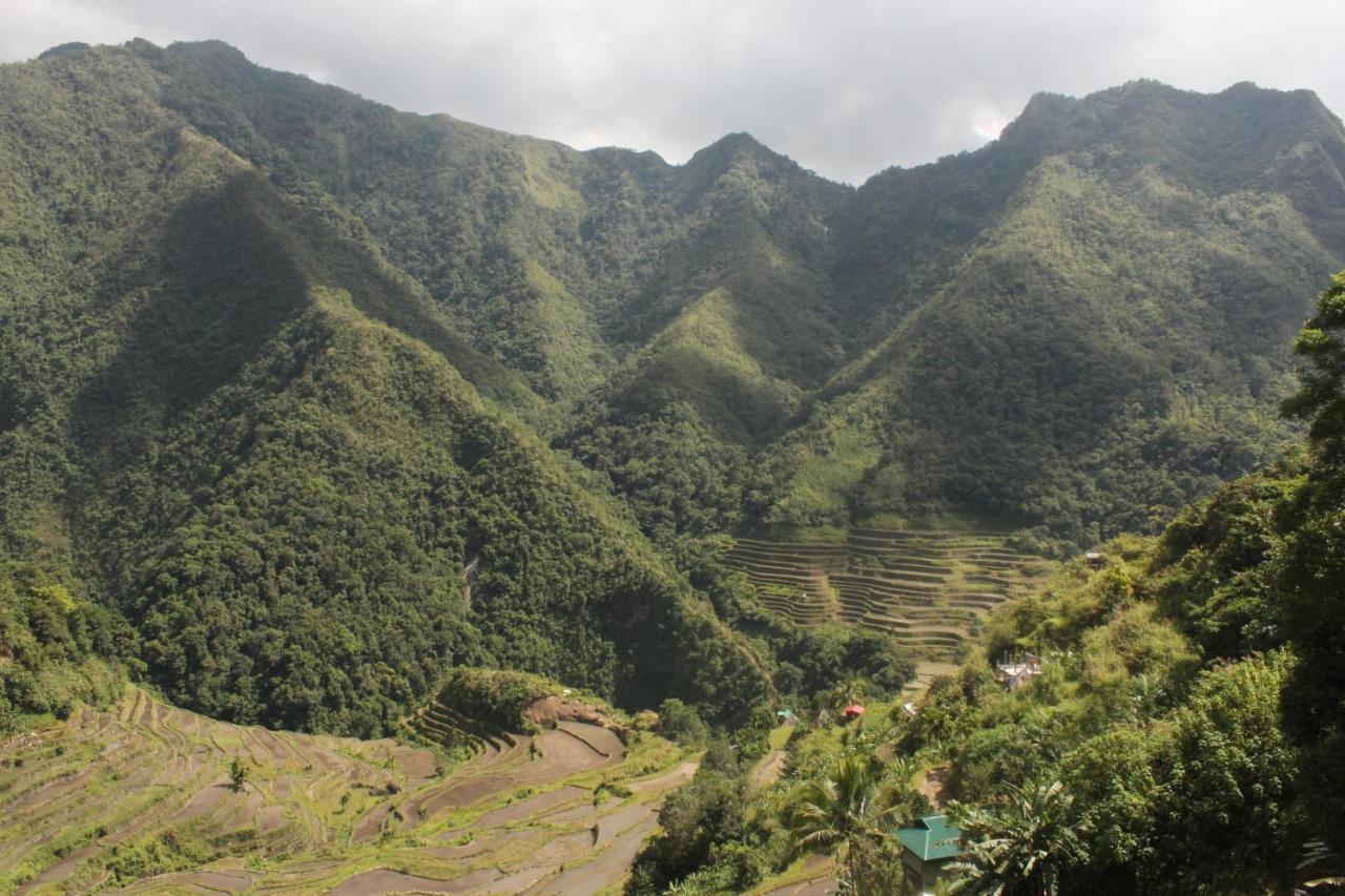 Batad Transient House Ξενοδοχείο Banaue Εξωτερικό φωτογραφία